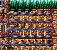 une photo d'Ã©cran de Push-Over sur Nintendo Super Nes